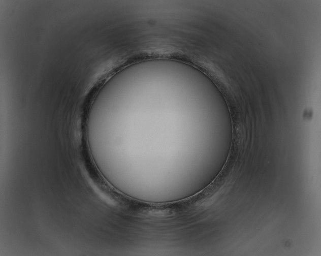 X0000096660638200802051220