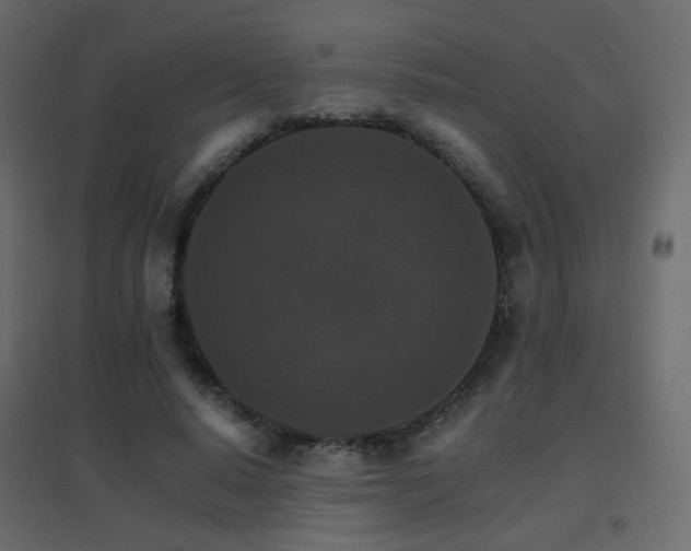 X0000096660640200802051220