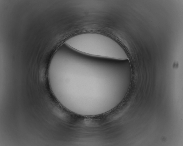 X0000096660641200802051220