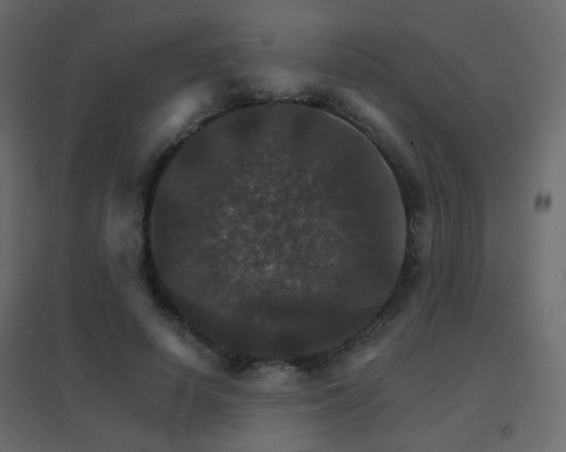X0000096660642200802051220