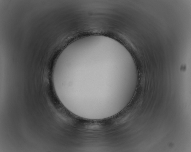 X0000096660643200802051220