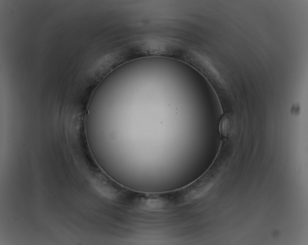 X0000096660645200802051220