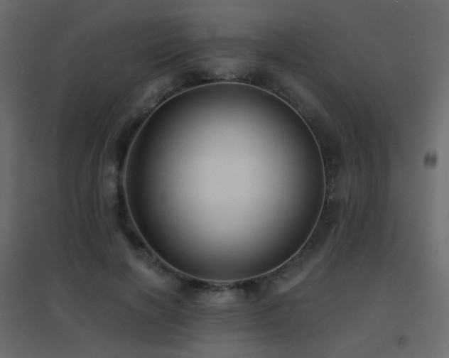 X0000096660646200802051220