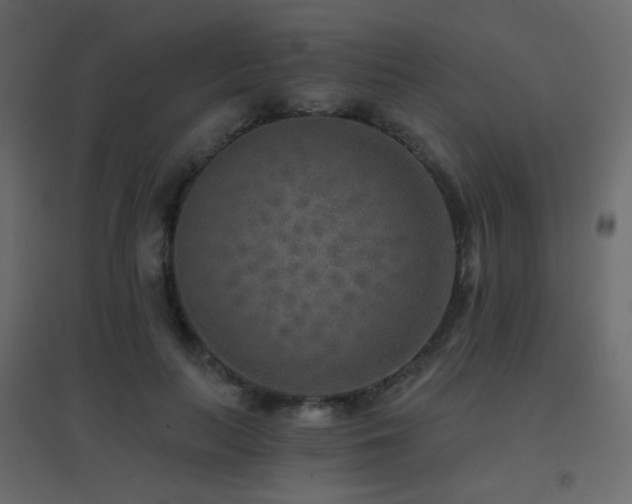 X0000096660647200802051220