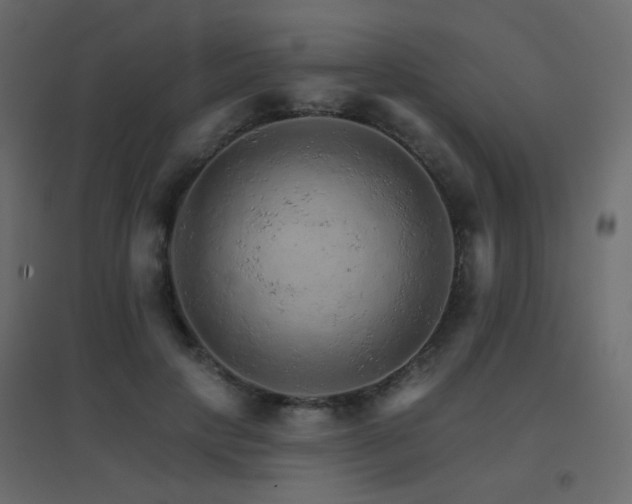 X0000096660649200802051220