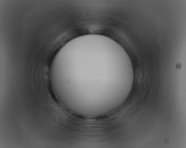 X0000096660650200802051220