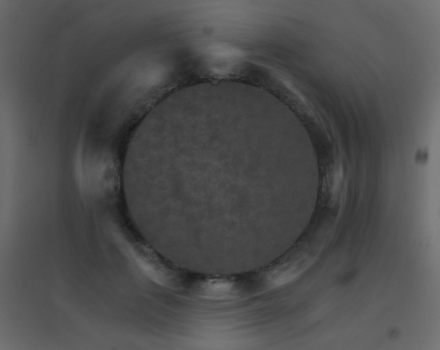 X0000096660651200802051220