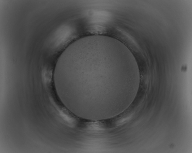 X0000096660652200802051220