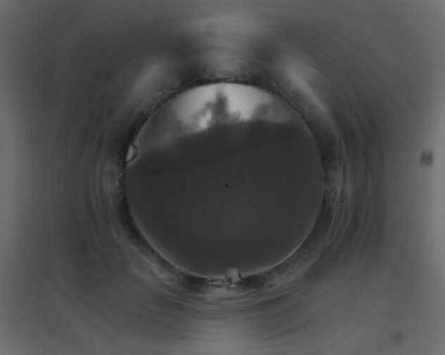 X0000096660653200802051220