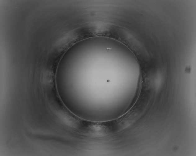 X0000096660654200802051220