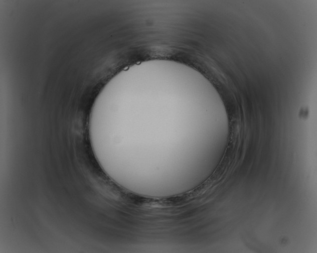 X0000096660655200802051220