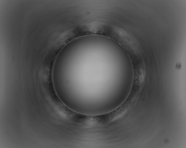 X0000096660656200802051220