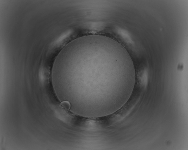 X0000096660657200802051220
