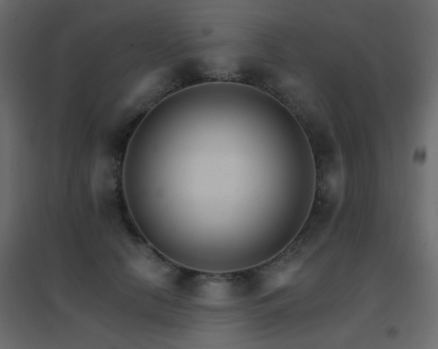 X0000096660658200802051220