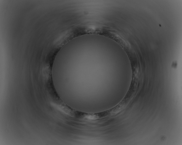 X0000096660659200802051220