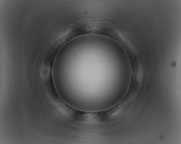 X0000096660660200802051220