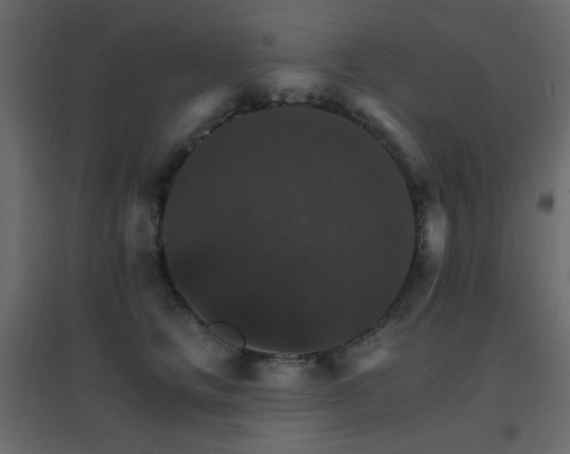 X0000096660661200802051220