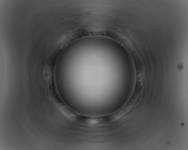 X0000096660662200802051220