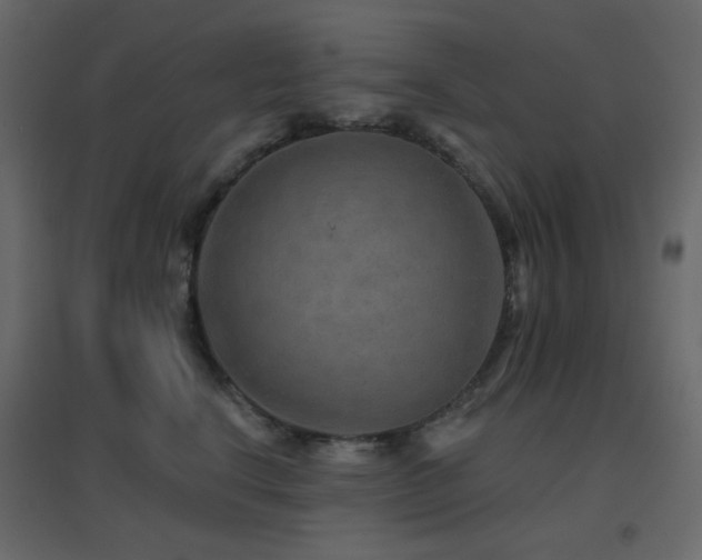 X0000096660664200802051220
