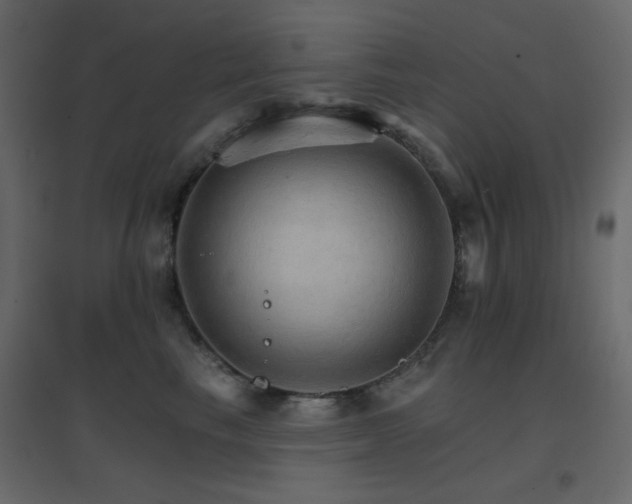 X0000096660665200802051220