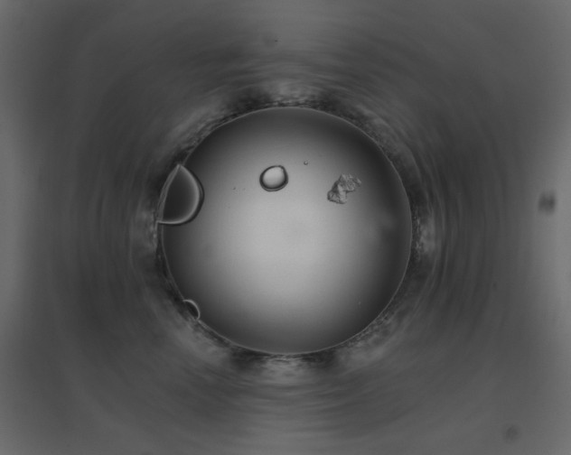X0000096660666200802051220