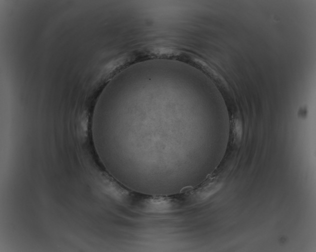 X0000096660668200802051220