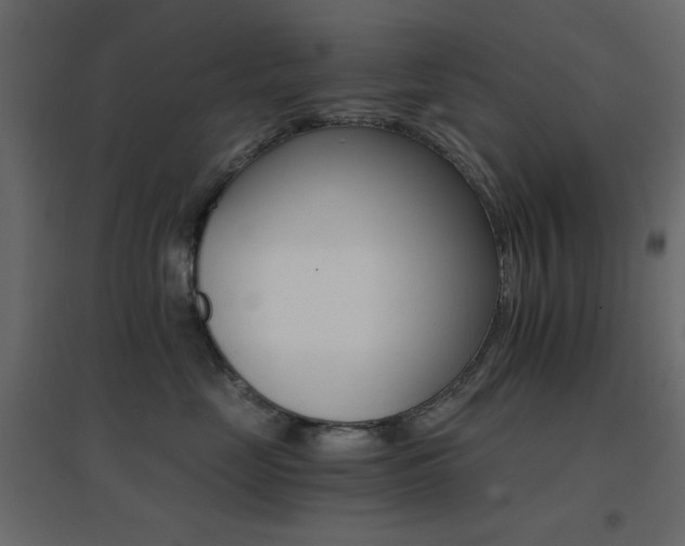 X0000096660669200802051220