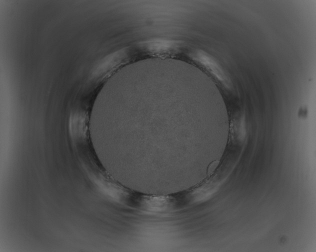 X0000096660671200802051220