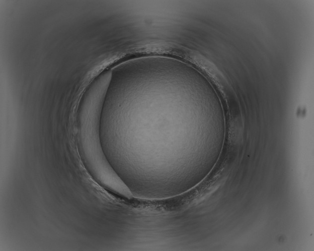 X0000096660673200802051220