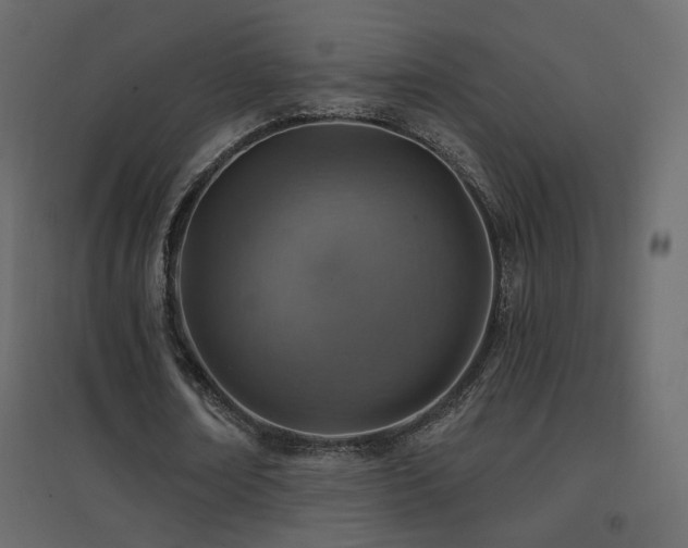 X0000096660674200802051220