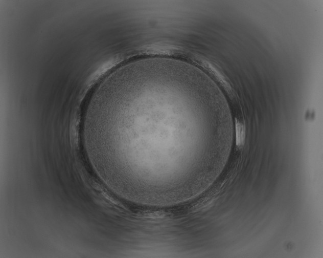 X0000096660675200802051220