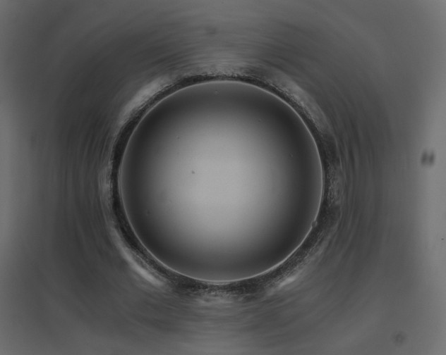 X0000096660677200802051220