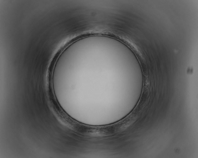 X0000096660678200802051220