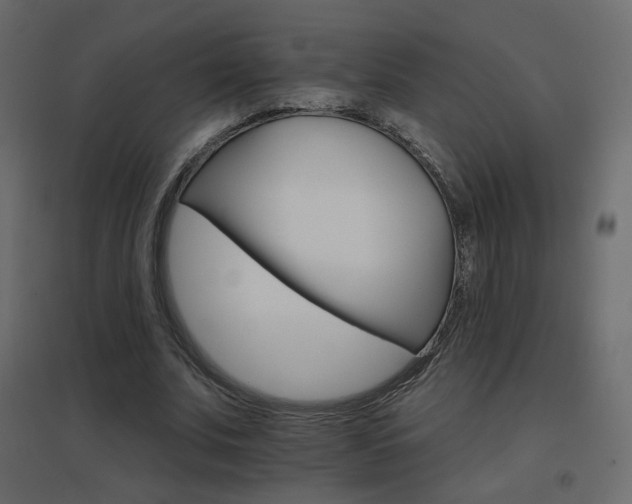 X0000096660679200802051220