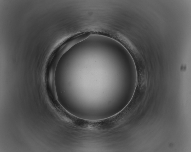 X0000096660680200802051220