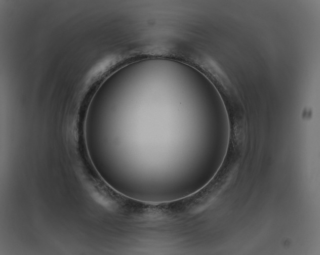 X0000096660682200802051219