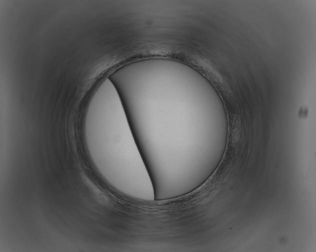 X0000096660683200802051219