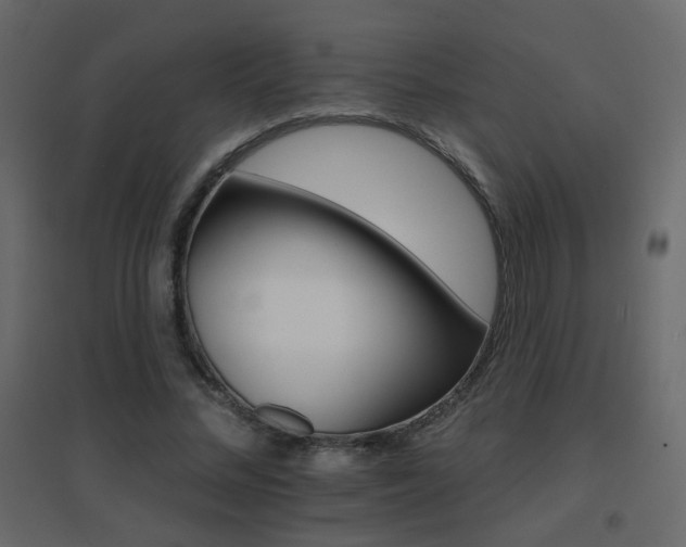 X0000096660684200802051219