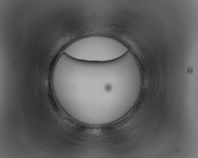 X0000096660687200802051219