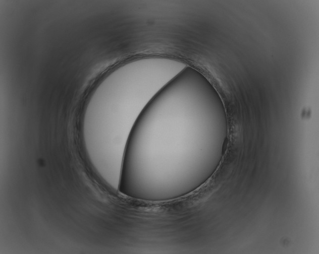 X0000096660688200802051219