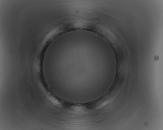 X0000096660689200802051219