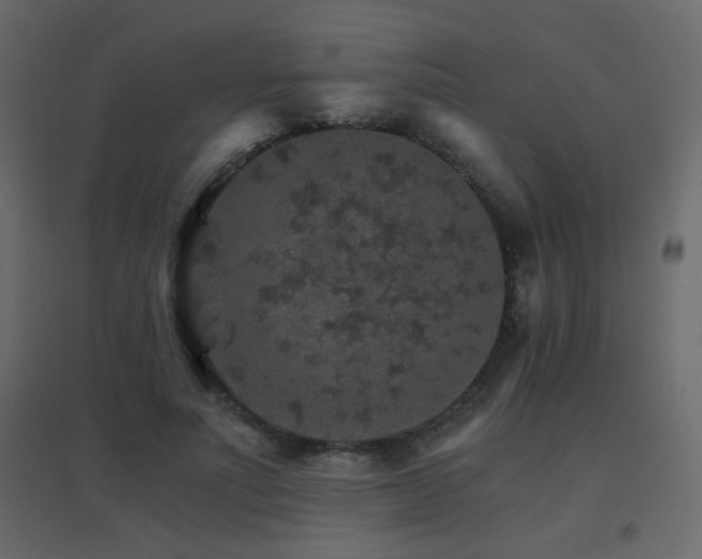 X0000096660691200802051219
