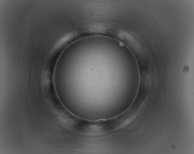 X0000096660692200802051219
