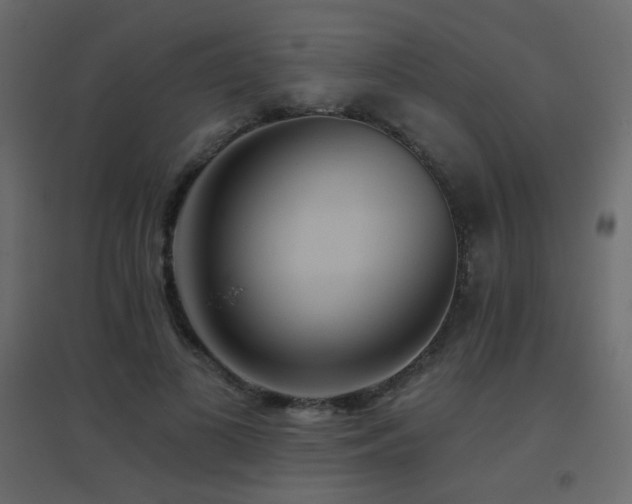 X0000096660693200802051219