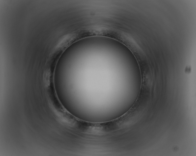 X0000096660694200802051219