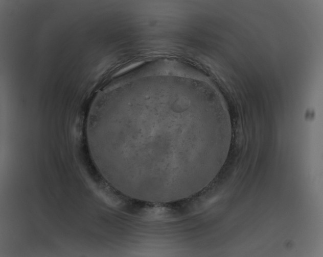 X0000096660695200802051219
