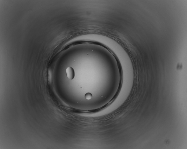 X0000096660696200802051219