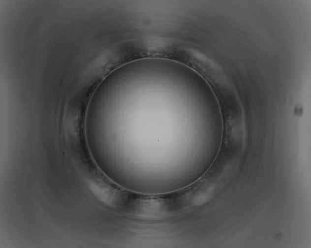X0000096660698200802051219