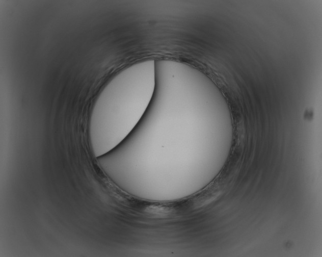 X0000096660699200802051219