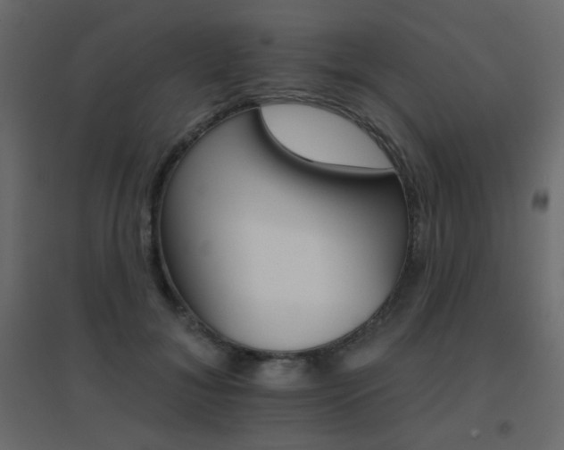 X0000096660700200802051219